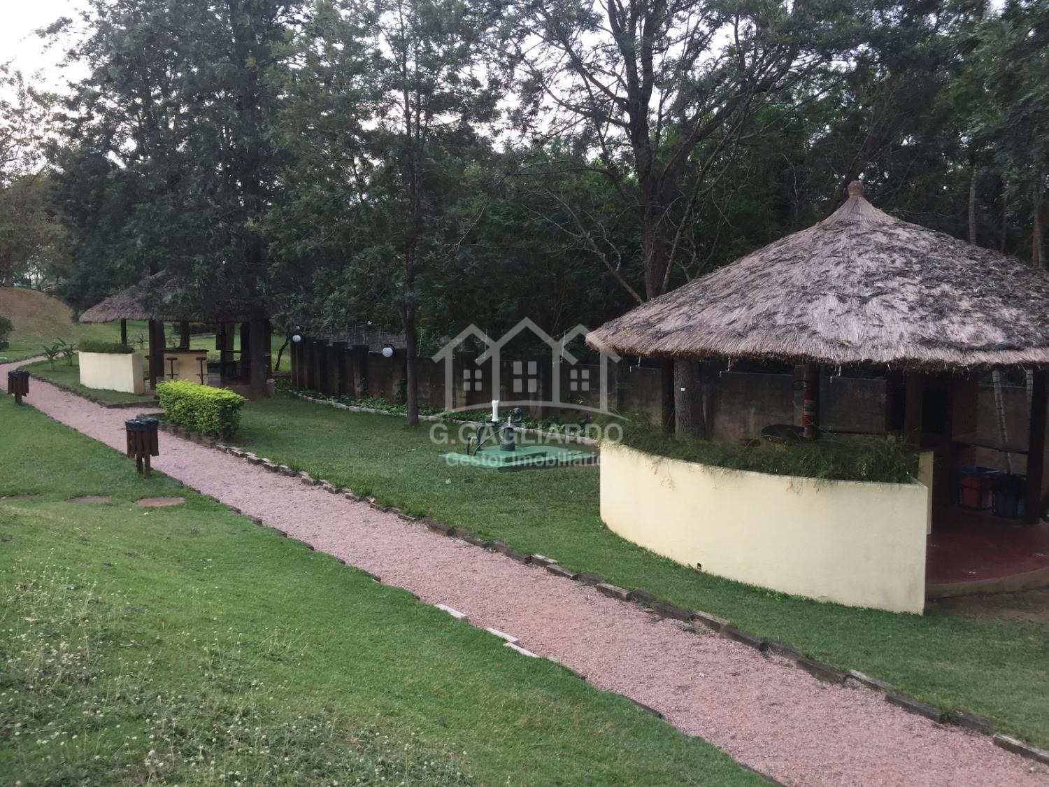 cobertura - Notre Dame - Campinas em , Campinas - sp | SoloBR
