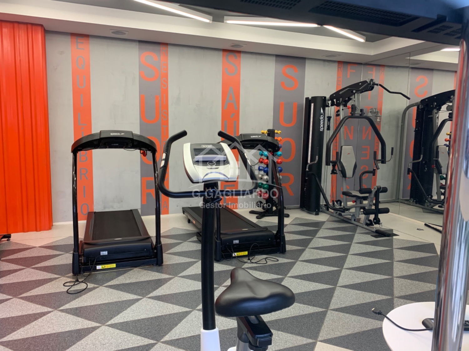 apartamento - Vila Lídia - Campinas em , Campinas - sp | SoloBR