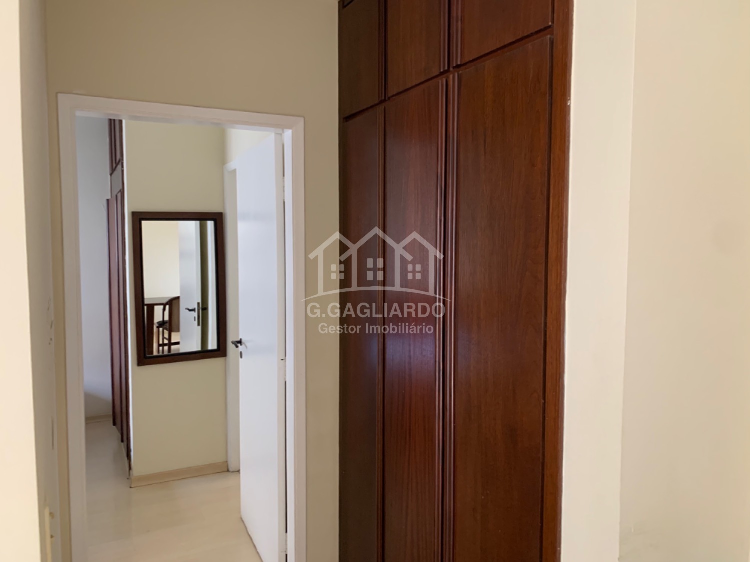 apartamento - Cambuí - Campinas em , Campinas - sp | SoloBR
