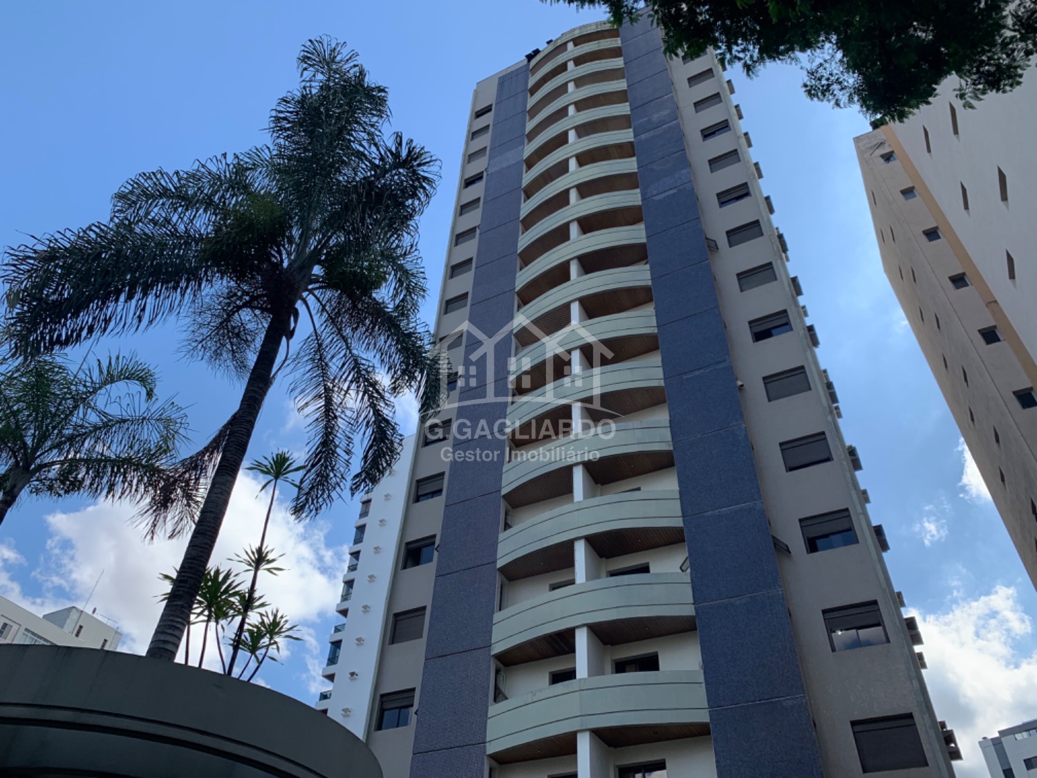 apartamento - Cambuí - Campinas em , Campinas - sp | SoloBR