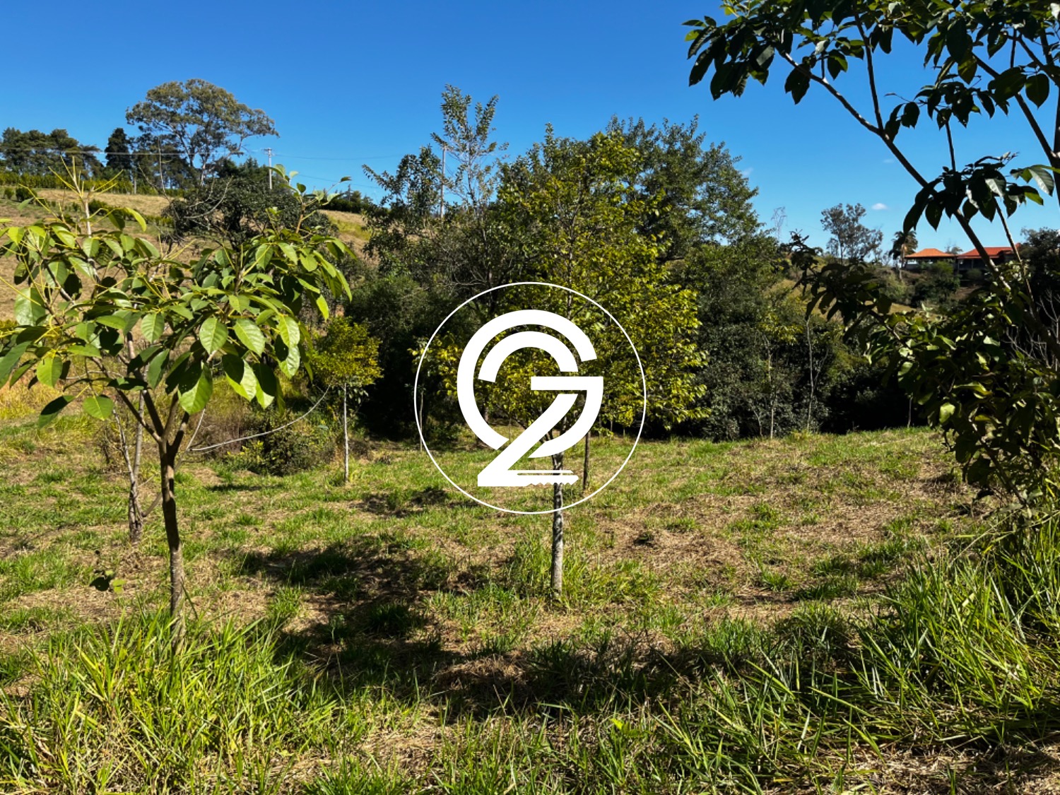 lote - Carlos Gomes - Campinas em , Campinas - sp | SoloBR