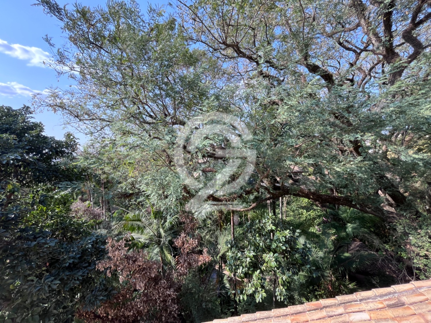 Casa para Locação no Gramado  - Campinas em , Campinas - sp | SoloBR