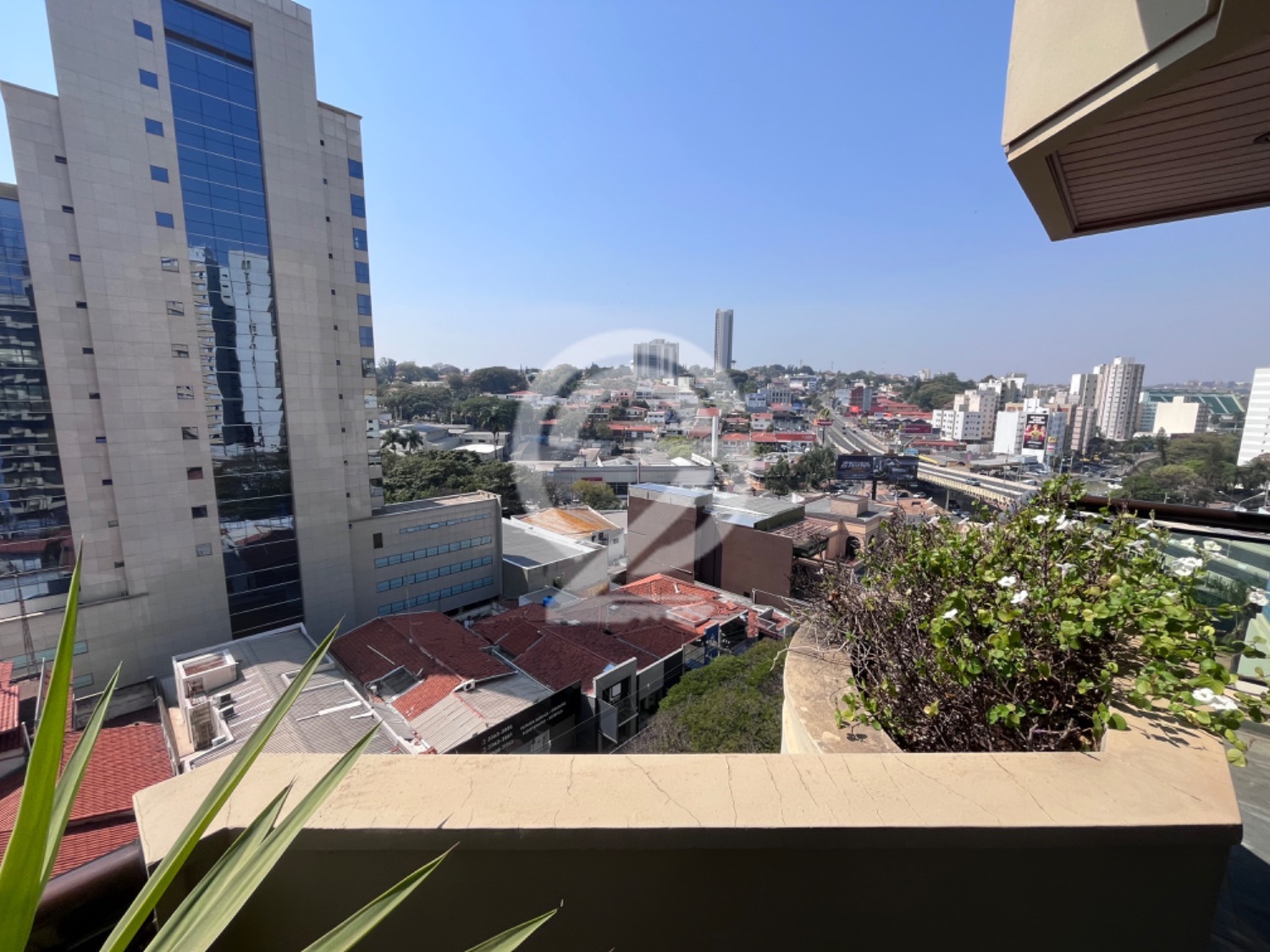 apartamento - Cambuí - Campinas em , Campinas - sp | SoloBR