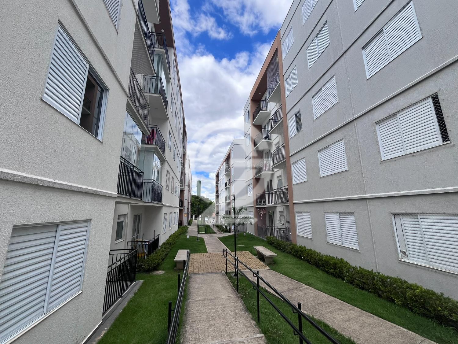 🏢 Apartamento para Locação – Jardim Garcia – Campinas/SP em , Campinas - sp | SoloBR