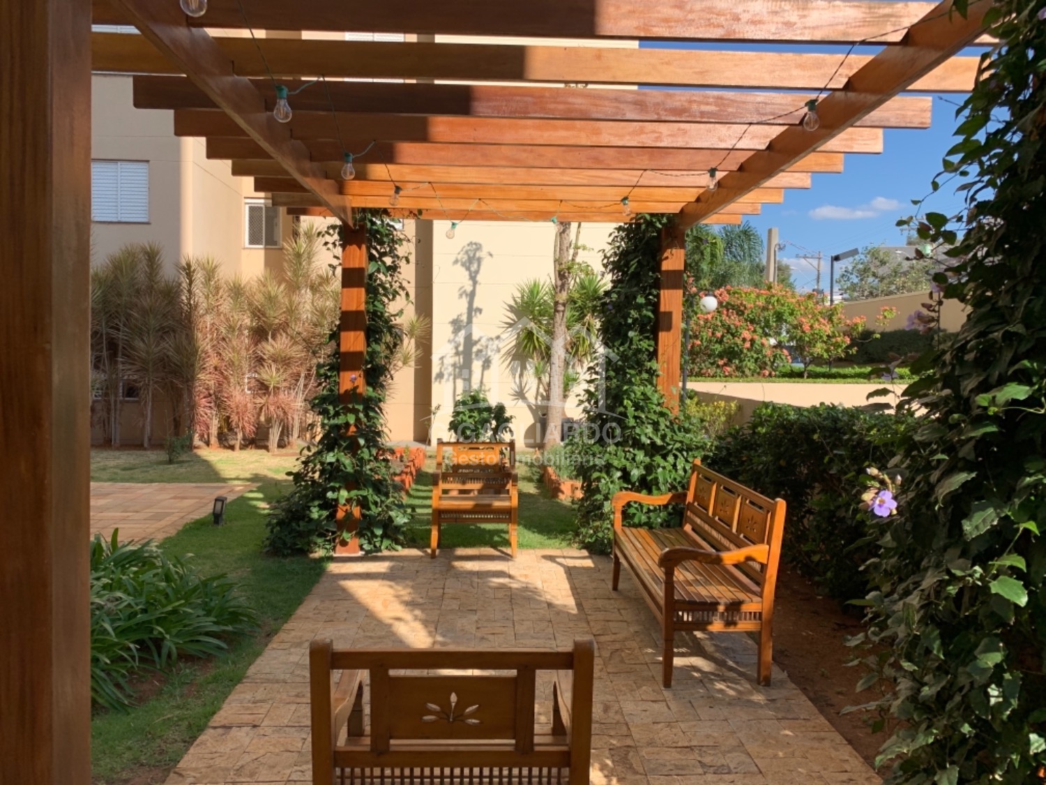 apartamento - Vila Nova - Campinas em , Campinas - sp | SoloBR