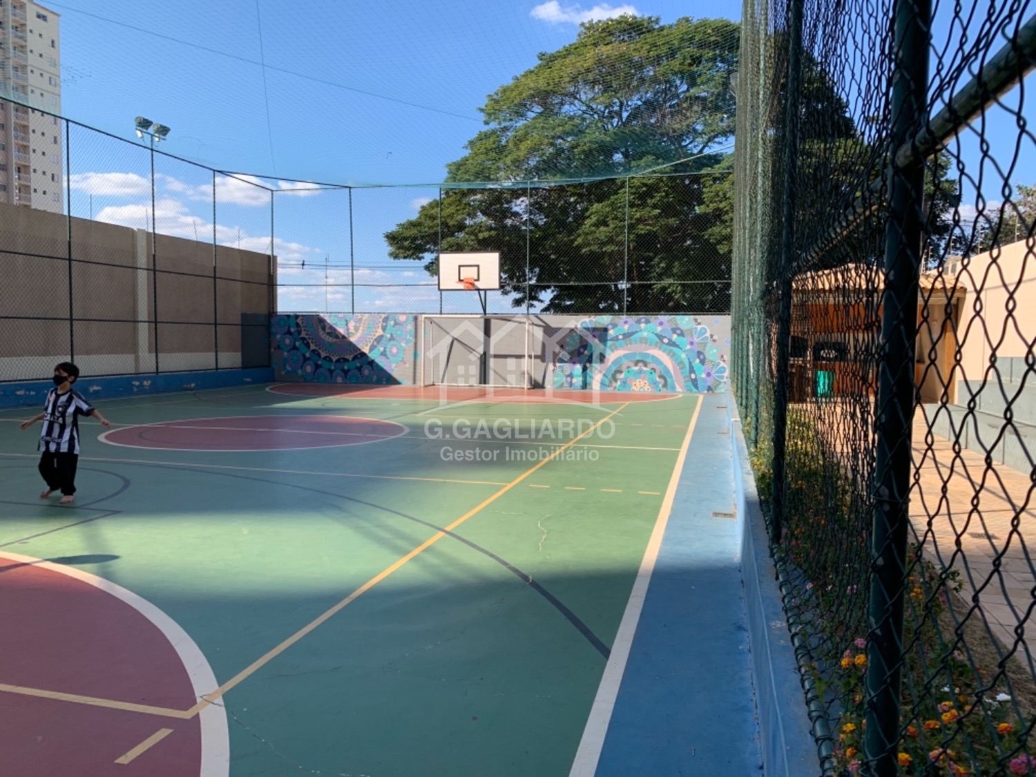 apartamento - Vila Nova - Campinas em , Campinas - sp | SoloBR