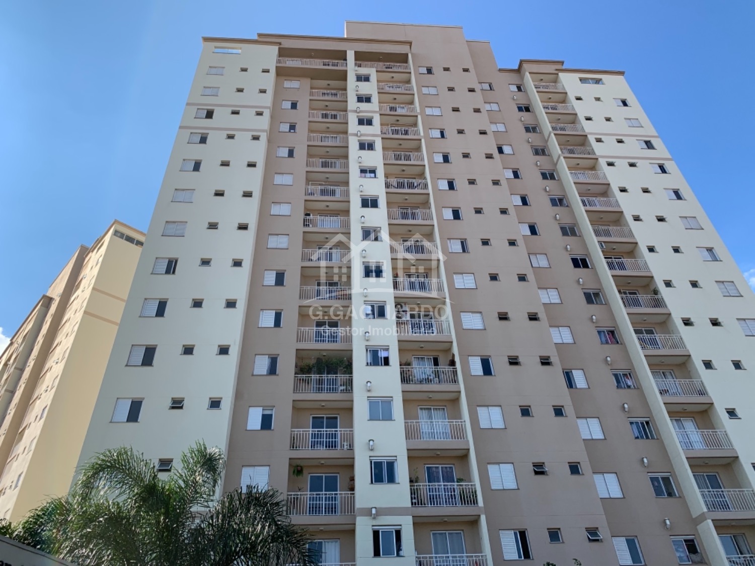 apartamento - Vila Nova - Campinas em , Campinas - sp | SoloBR